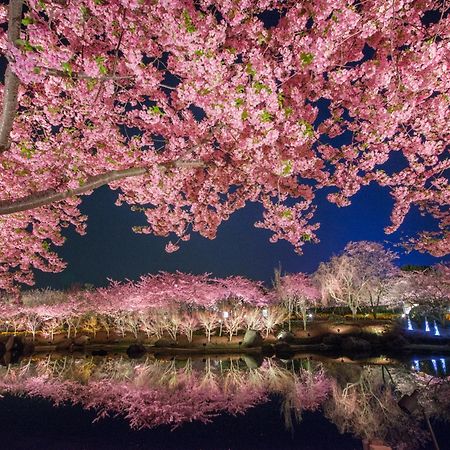 Hotel Castle Inn Yokkaichi Ngoại thất bức ảnh